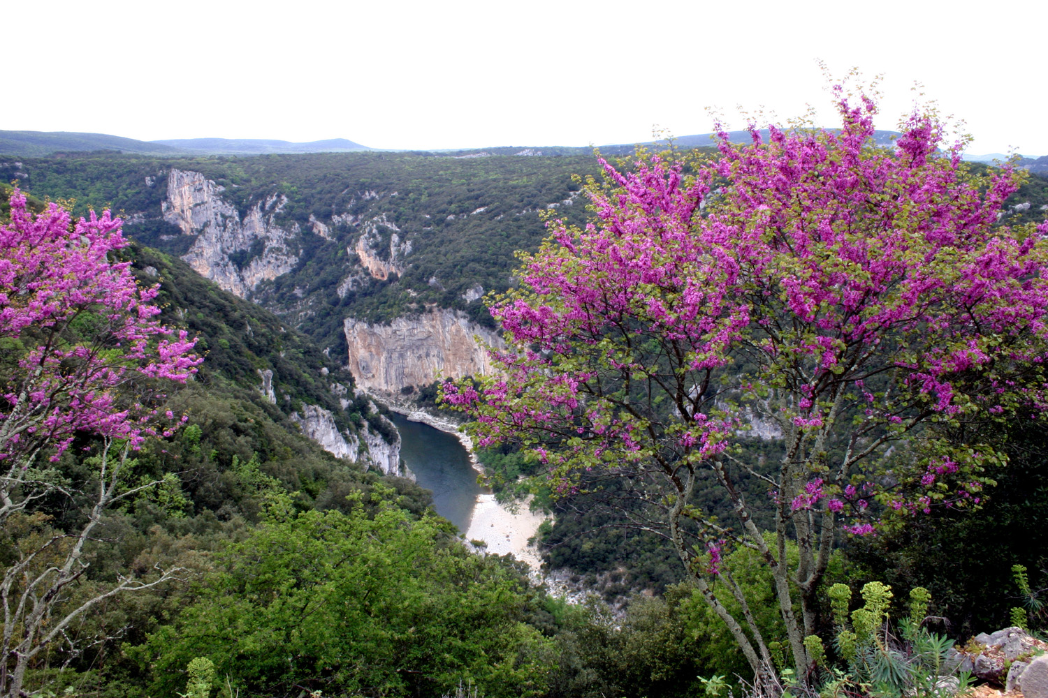 Les gorges de l'ardeche